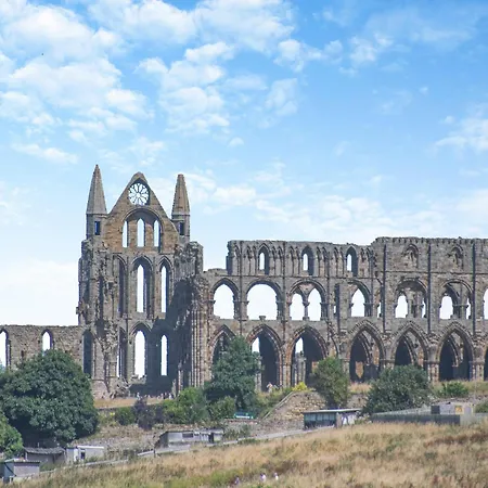 Driftwood At Whitehall